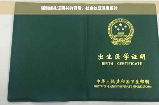 强制结扎证明书的背后，社会议题深度探讨