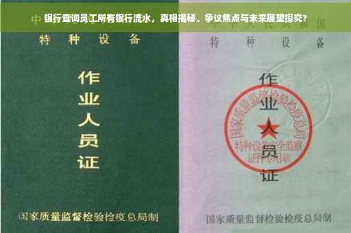 银行查询员工所有银行流水，真相揭秘、争议焦点与未来展望探究?