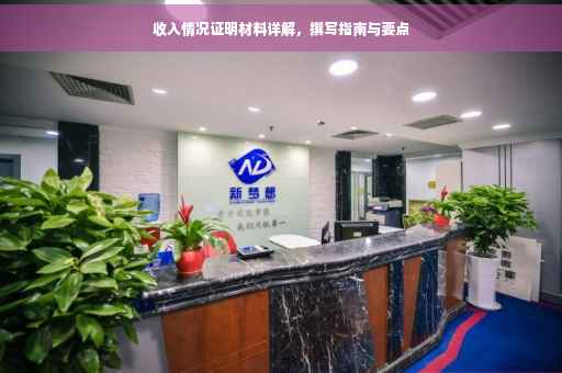 收入情况证明材料详解，撰写指南与要点