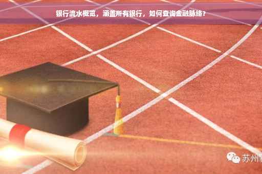 银行流水概览，涵盖所有银行，如何查询金融脉络？