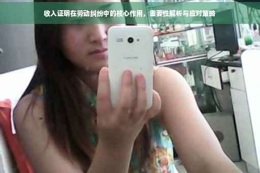 收入证明在劳动纠纷中的核心作用，重要性解析与应对策略