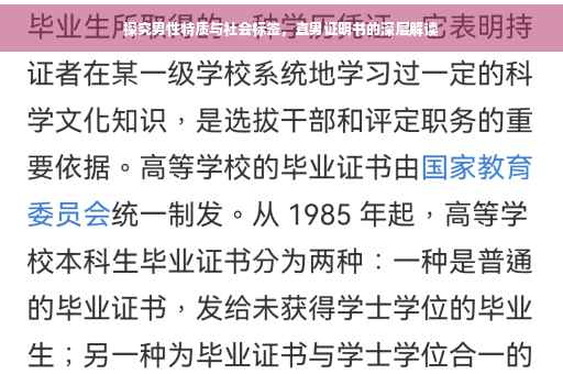 探究男性特质与社会标签，直男证明书的深层解读