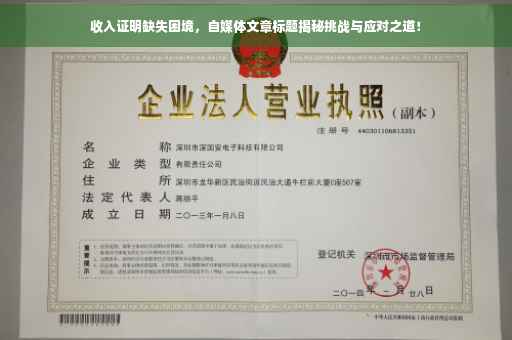 收入证明缺失困境，自媒体文章标题揭秘挑战与应对之道！