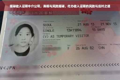 揭秘收入证明中介公司，真相与风险揭秘，代办收入证明的风险与应对之道