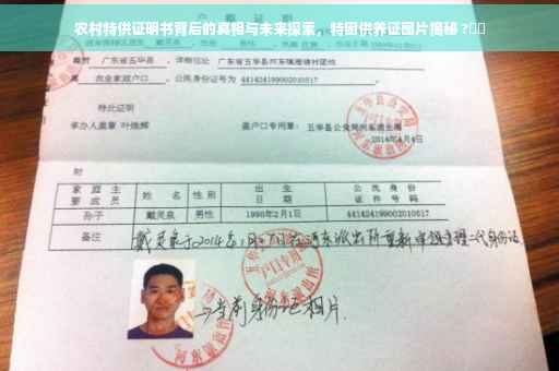 农村特供证明书背后的真相与未来探索，特困供养证图片揭秘 ?⚡️