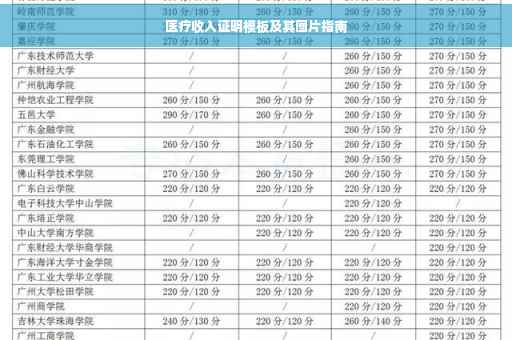 医疗收入证明模板及其图片指南