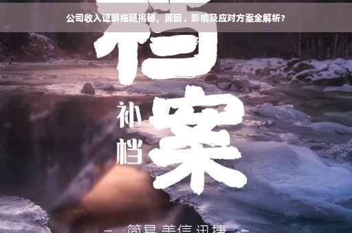 公司收入证明拖延揭秘，原因、影响及应对方案全解析?