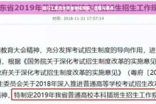 银行工资流水账单审核详解，流程与要点