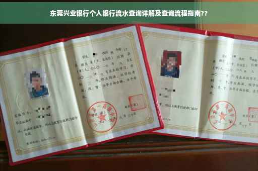 东莞兴业银行个人银行流水查询详解及查询流程指南??