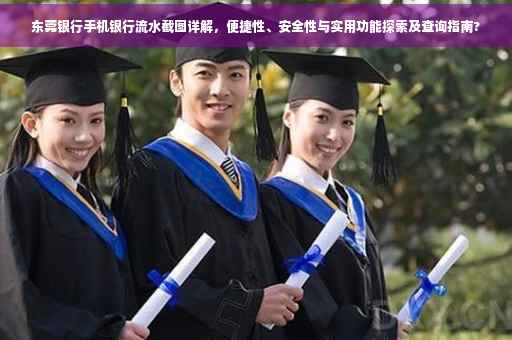 东莞银行手机银行流水截图详解，便捷性、安全性与实用功能探索及查询指南?