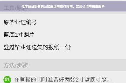 挂学籍证明书的深度解读与操作指南，实用价值与用途解析