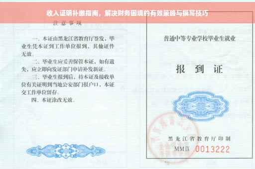收入证明补缴指南，解决财务困境的有效策略与撰写技巧