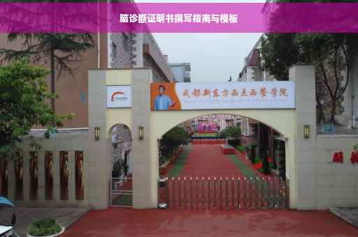 脑诊断证明书撰写指南与模板