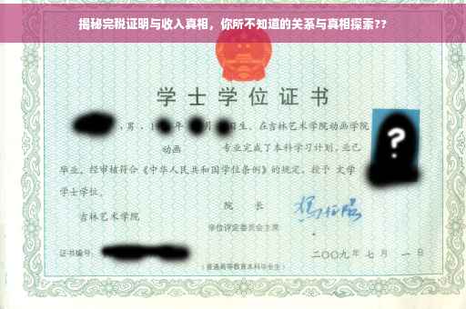 揭秘完税证明与收入真相，你所不知道的关系与真相探索??