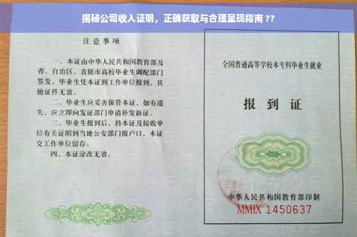 揭秘公司收入证明，正确获取与合理呈现指南 ??