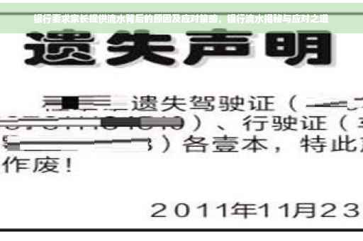 银行要求家长提供流水背后的原因及应对策略，银行流水揭秘与应对之道