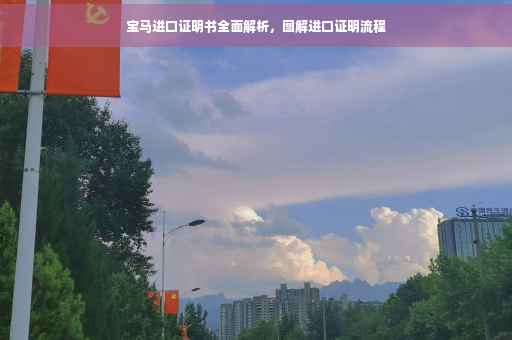 宝马进口证明书全面解析，图解进口证明流程