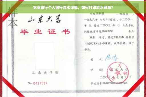 农业银行个人银行流水详解，如何打印流水账单？