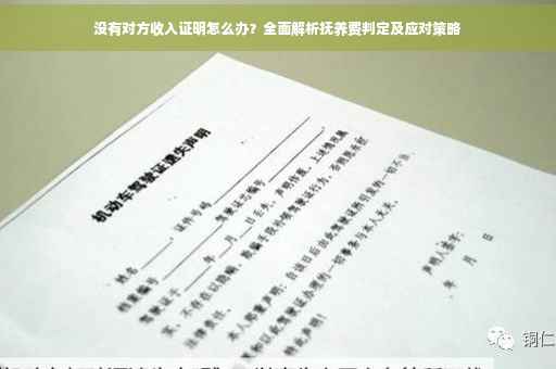 没有对方收入证明怎么办？全面解析抚养费判定及应对策略