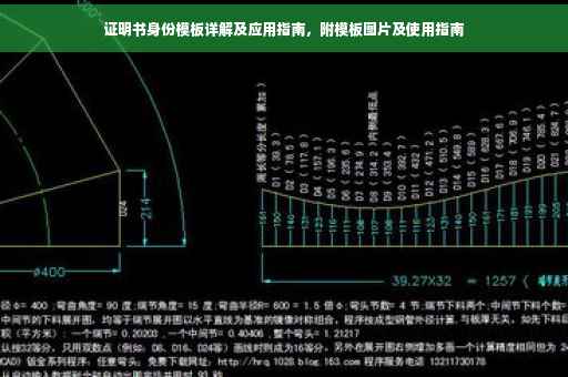 证明书身份模板详解及应用指南，附模板图片及使用指南