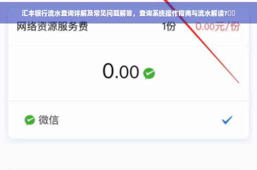 汇丰银行流水查询详解及常见问题解答，查询系统操作指南与流水解读?⚡️