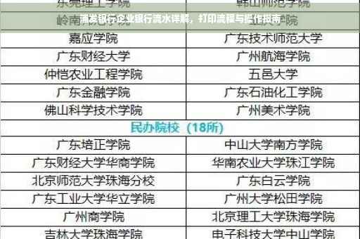 浦发银行企业银行流水详解，打印流程与操作指南