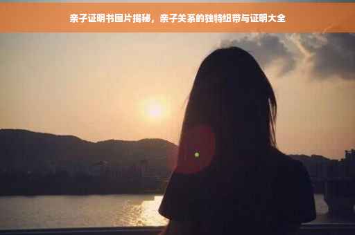 亲子证明书图片揭秘，亲子关系的独特纽带与证明大全