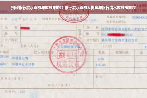 揭秘银行流水真相与应对策略?? 银行流水真相大揭秘与银行流水应对指南??