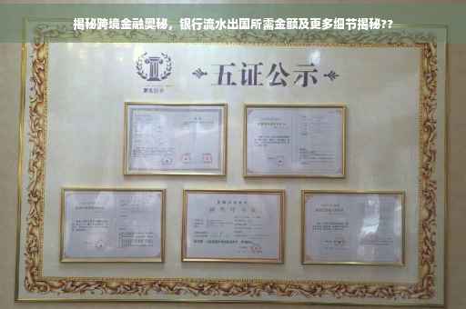 揭秘跨境金融奥秘，银行流水出国所需金额及更多细节揭秘??