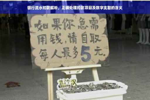 银行流水扣款解析，正确处理扣款项目及数字支取的含义