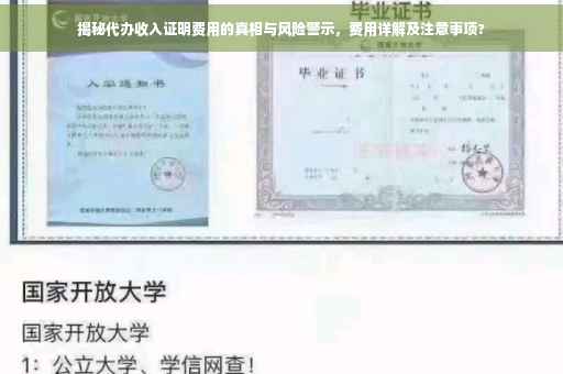 揭秘代办收入证明费用的真相与风险警示，费用详解及注意事项?