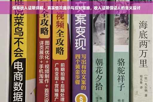 保事收入证明详解，真实情况揭示与应对策略，收入证明保证人的含义探讨
