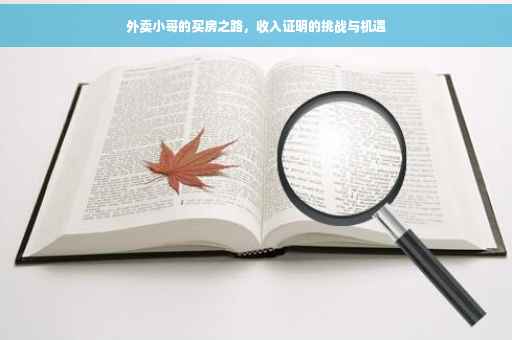 外卖小哥的买房之路，收入证明的挑战与机遇