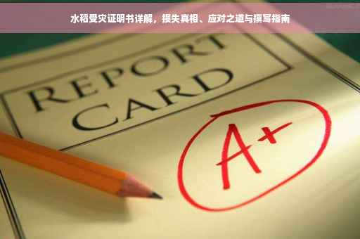 水稻受灾证明书详解，损失真相、应对之道与撰写指南