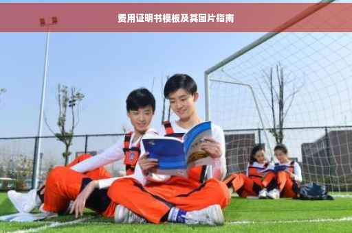 费用证明书模板及其图片指南