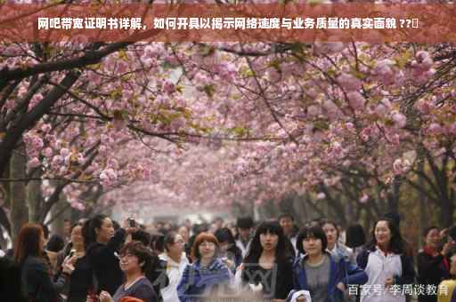 网吧带宽证明书详解，如何开具以揭示网络速度与业务质量的真实面貌 ??️
