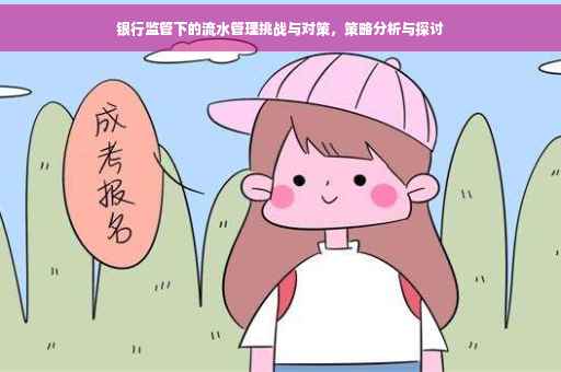 银行监管下的流水管理挑战与对策，策略分析与探讨