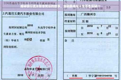 揭秘银行流水图章背后的故事，金融脉络与人生百态探秘??