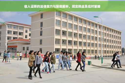 收入证明的法律效力与困境解析，现实挑战及应对策略