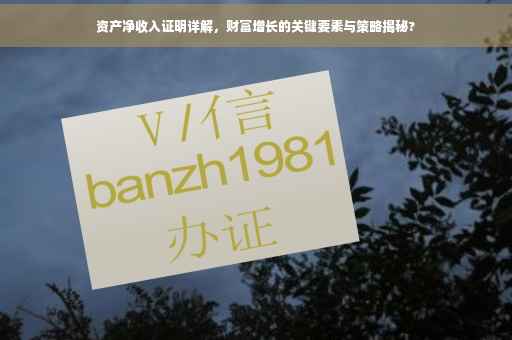 资产净收入证明详解，财富增长的关键要素与策略揭秘?