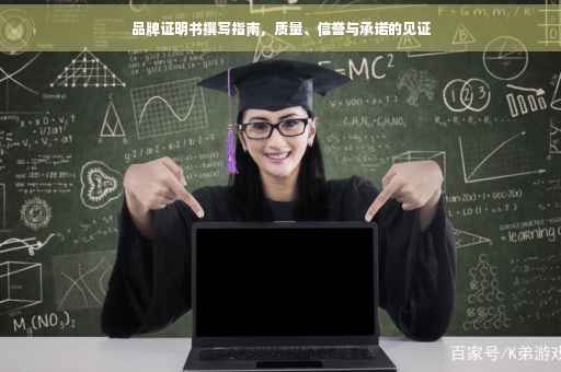 品牌证明书撰写指南，质量、信誉与承诺的见证