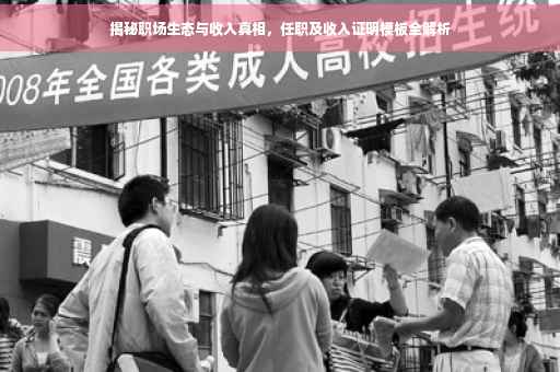 揭秘职场生态与收入真相，任职及收入证明模板全解析