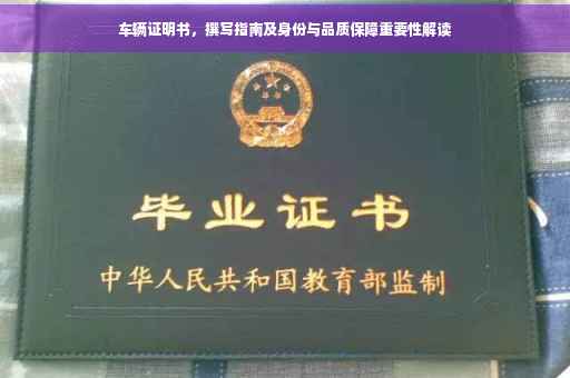 车辆证明书，撰写指南及身份与品质保障重要性解读