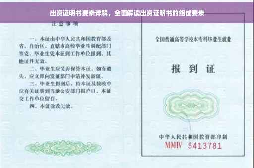 出资证明书要素详解，全面解读出资证明书的组成要素