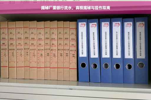 揭秘厂里银行流水，真相揭秘与操作指南