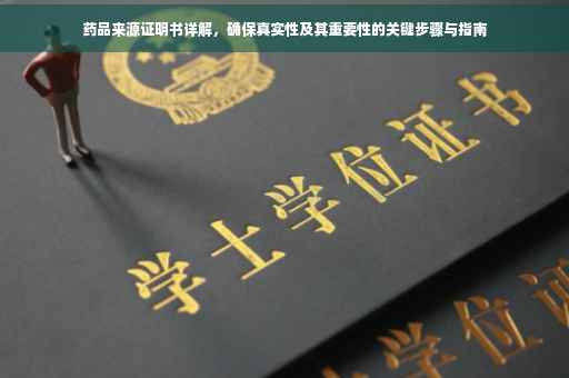 药品来源证明书详解，确保真实性及其重要性的关键步骤与指南
