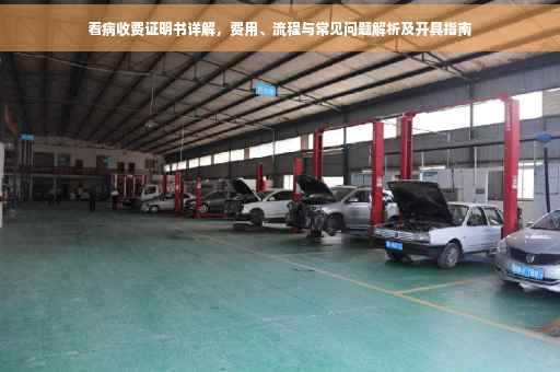 看病收费证明书详解，费用、流程与常见问题解析及开具指南