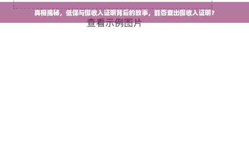 真相揭秘，低保与假收入证明背后的故事，能否查出假收入证明？