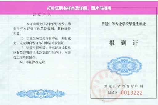 打针证明书样本及详解，图片与指南