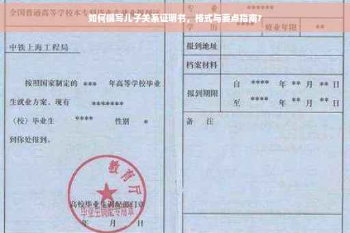 如何撰写儿子关系证明书，格式与要点指南?